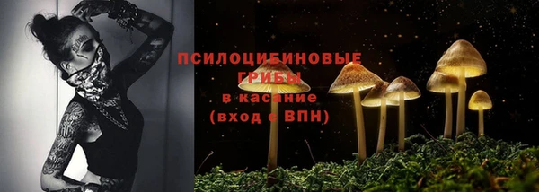 мяу мяу мука Алексеевка