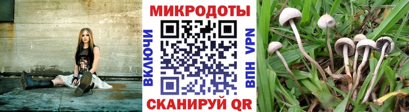 Псилоцибиновые грибы GOLDEN TEACHER  закладка  Усть-Лабинск 