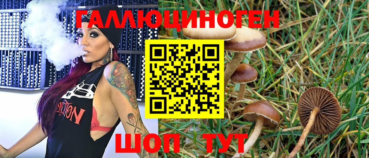 Галлюциногенные грибы Magic Shrooms  Вход с VPN  Усть-Лабинск 